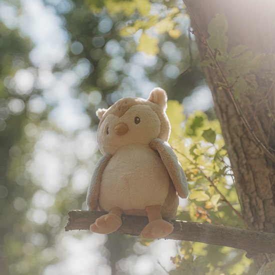 Little Dutch Knuffel Uil - Forest Friends