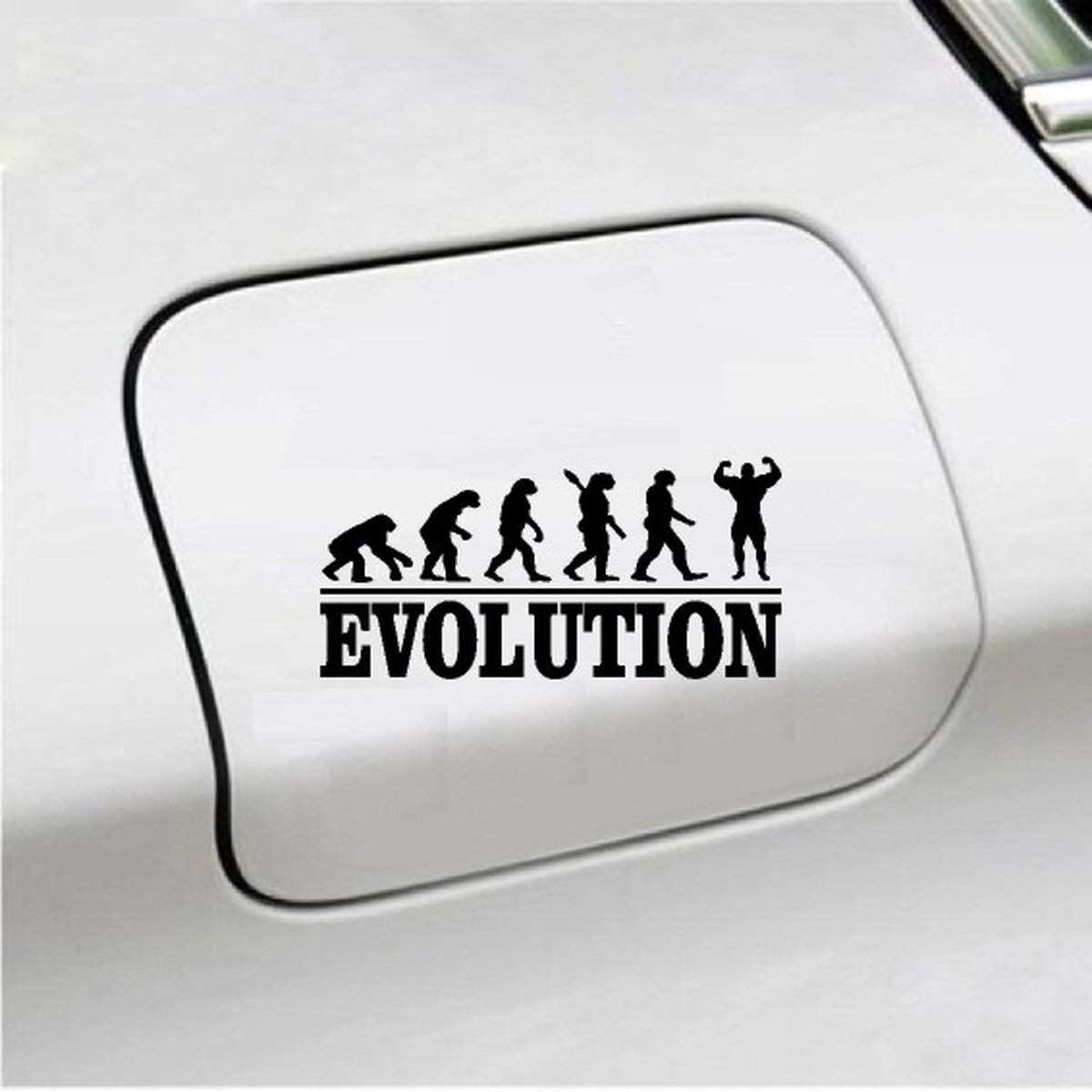 Bumpersticker - Evolution Bodybuilding- 20x9.3 - Zwart
