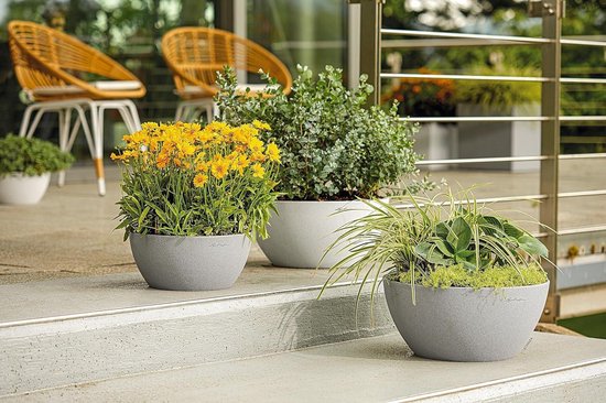 LECHUZA Balkonbak Balconera Cottage Kunststof All-in-One Set Zwart 79 X 19 X 19 Cm