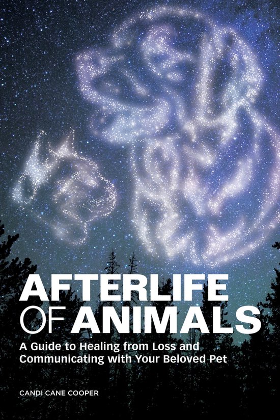 Afterlife of Animals - cover