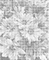 Stippeltekening - Dotting - Stippelschilderij - 30 x 40 cm Bloemen