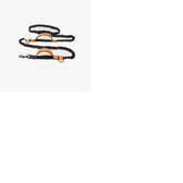 Ceinture Runnig Chiens - Enclos - Jogging - Marche - Chien - Anti choc - Oranje