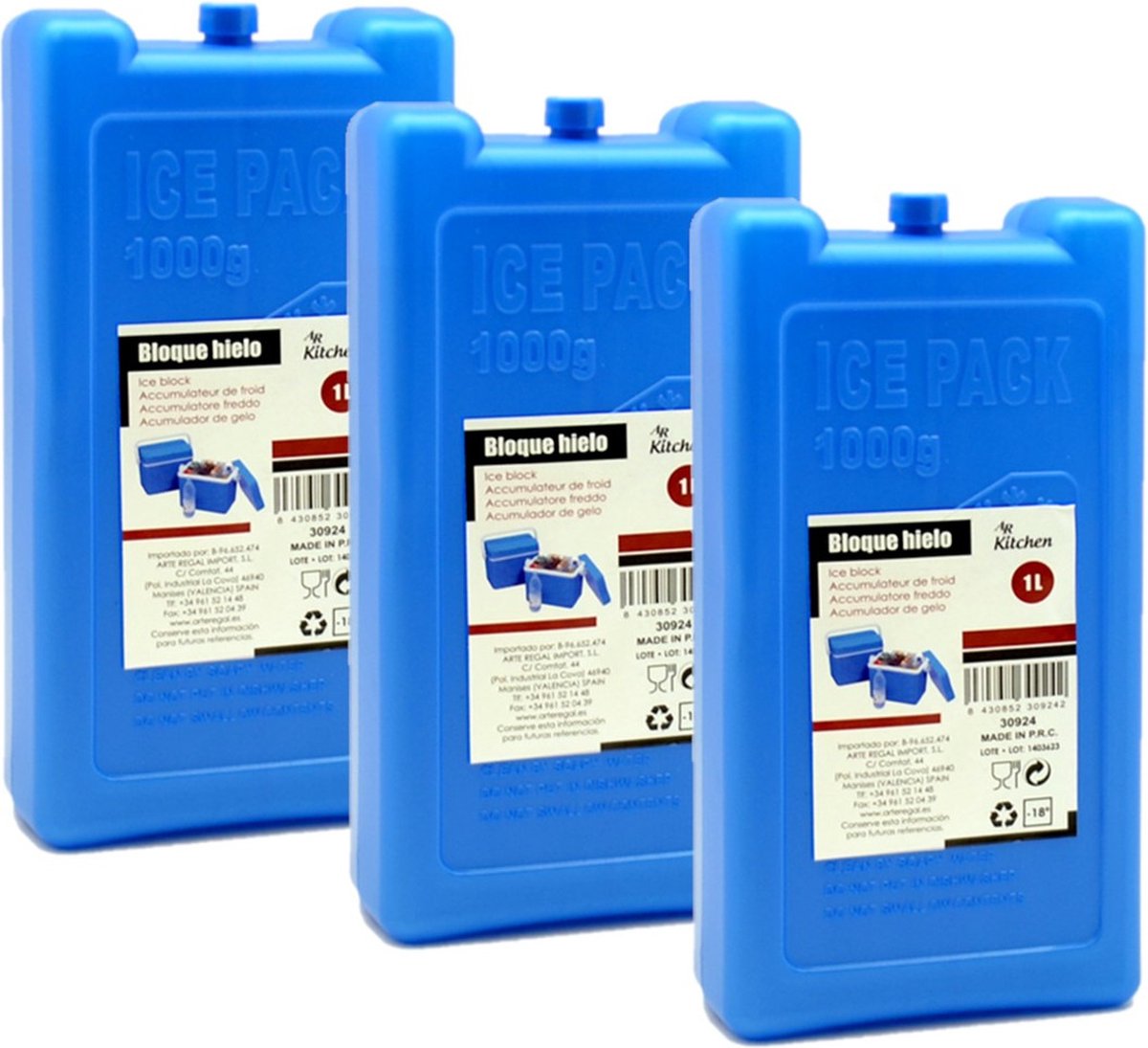 Arte R Koelelementen - 5x - groot blok - 1000 ml - 11 x 5 x 22 cm - blauw - voor koeltas en koelbox
