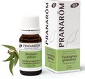 PRANARÔM bio eucalyptus globulus etherische olie 10ml flesje met takje en doosje.