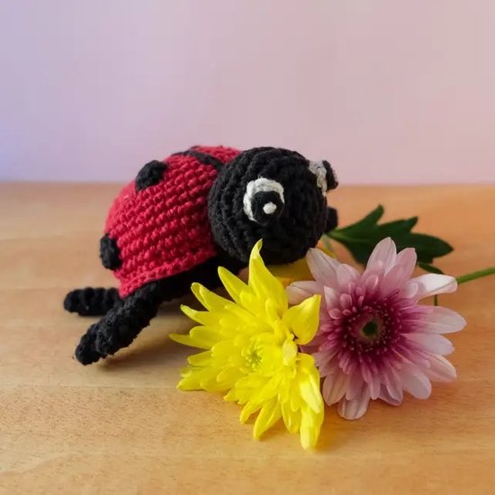 Haakpakket - Ladybird DAISY - Eco Barbante - Amigurumi (complete set inclusief haaknaald)