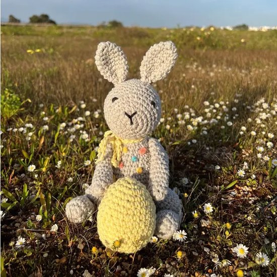 Haakpakket - Bunny CHOCOPOP - Eco Barbante - Amigurumi (complete set inclusief haaknaald)