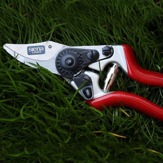 Premium Tuinschaar - Rozenbypassschaar 691526 van Kinzo — afbeelding 4