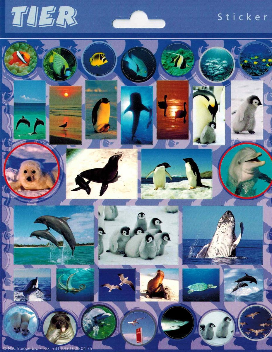 Dieren Stickers - Zee Dieren - Set van 3 vellen
