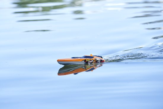 Dickie Toys RC Boot Sea Hawk – Ferngesteuertes Motorboot 33 Cm, 2,4 GHz, Turbo 4 Km/h, Mit Sicherheitssensoren, Ab 6 Jahren