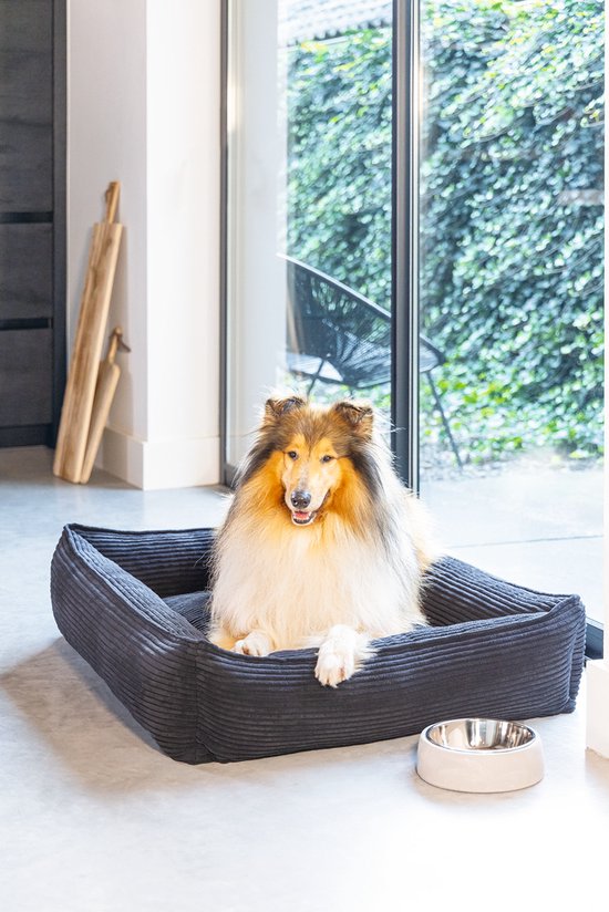Collie in een donkergrijze hondenmand met ribbelstof, naast een voerbak.