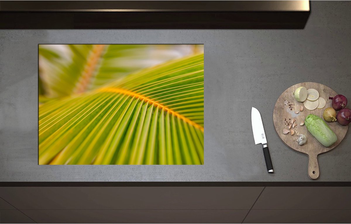 Inductieplaat Beschermer - Close-up op de Nerven van een Groot Palmblad - 71x52 cm - 2 mm Dik - Inductie Beschermer - Bescherming Inductiekookplaat - Kookplaat Beschermer van Wit Vinyl