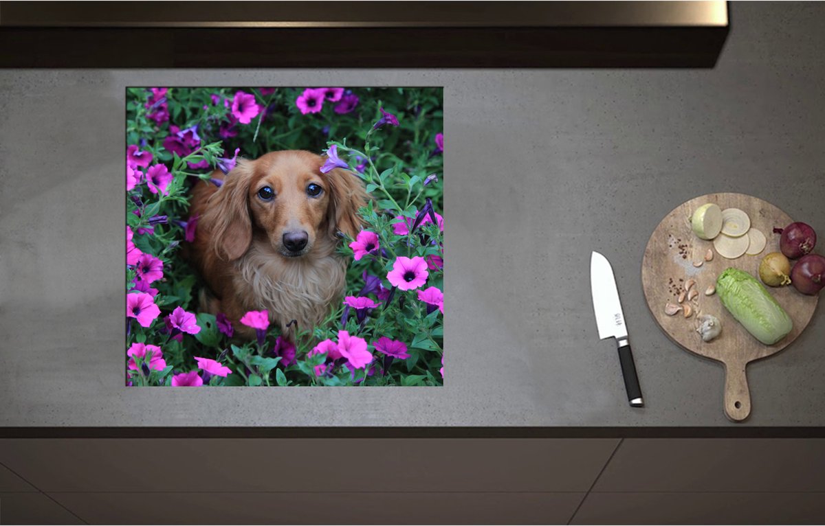 Inductieplaat Beschermer - Bruine Teckel tussen de Paarse Bloemen - 58x55 cm - 2 mm Dik - Inductie Beschermer - Bescherming Inductiekookplaat - Kookplaat Beschermer van Zwart Vinyl