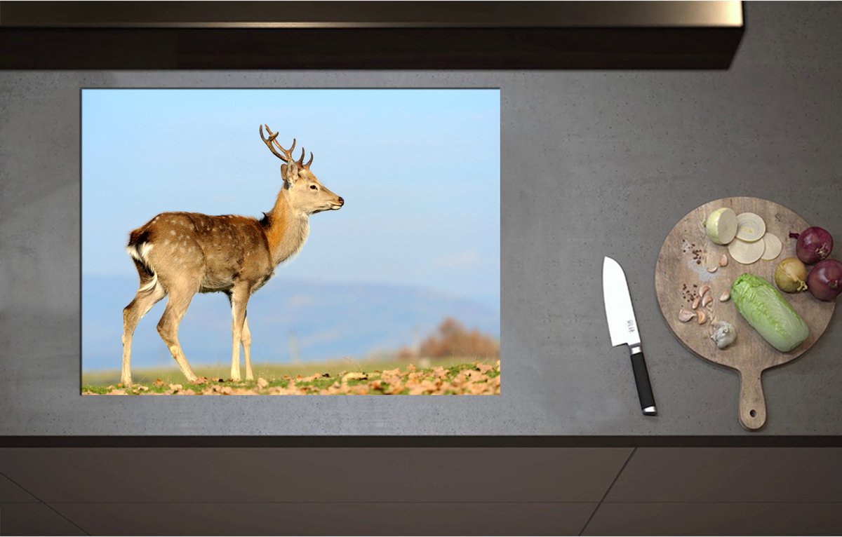 Inductieplaat Beschermer - Bruin Hert in de Herfst - 75x55 cm - 2 mm Dik - Inductie Beschermer - Bescherming Inductiekookplaat - Kookplaat Beschermer van Wit Vinyl