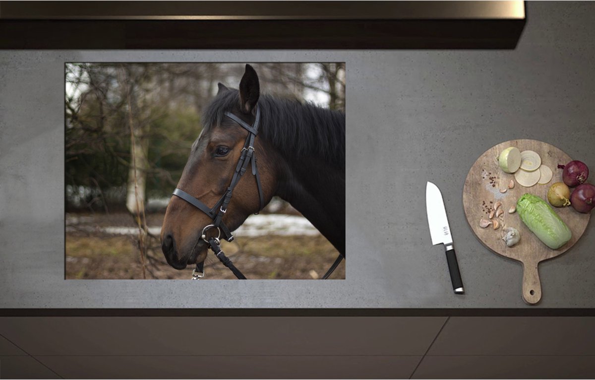 Inductieplaat Beschermer - Bruin paard met halster om buiten - 71x55 cm - 2 mm Dik - Inductie Beschermer - Bescherming Inductiekookplaat - Kookplaat Beschermer van Wit Vinyl