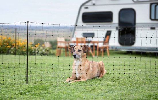 Camping Net hond omheining afrastering | Dubbele Grondpen
