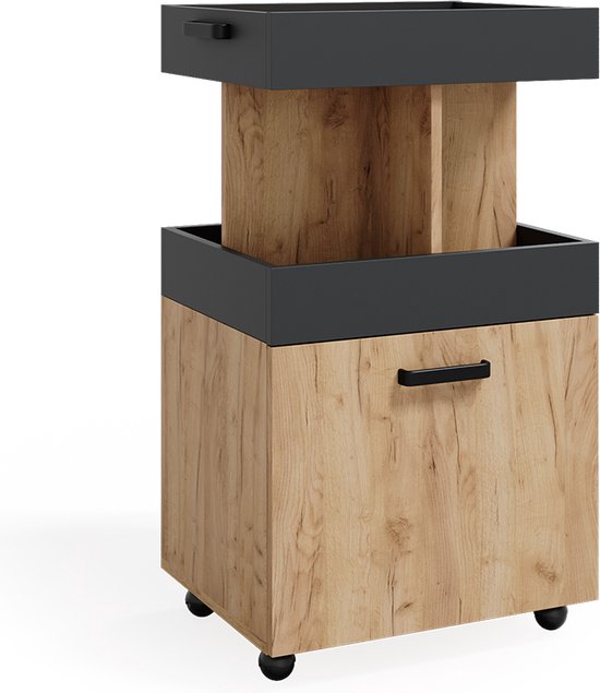 Magnetronkast R-Line Krachtige eik goud 60 cm Vicco | Krachtige eik