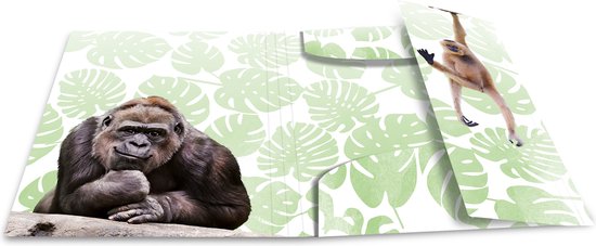 HERMA Monkey gang, Chemise adhésive conventionnelle, A3, Polypropylène (PP), Multicolore, Bande élastique, 335 mm