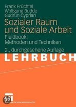 Sozialer Raum Und Soziale Arbeit: Fieldbook: Methoden Und Techniken