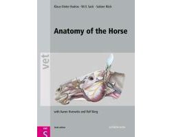 Omslag van Anatomy Of The Horse