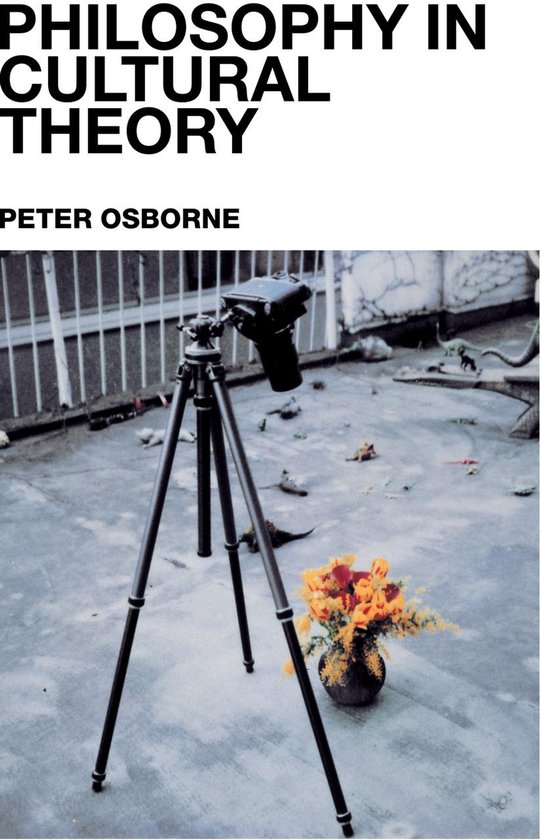 Philosophy in Cultural Theory - cover