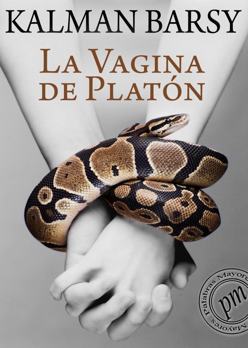 La vagina de Platón (ebook), Kalman Barsy | 9788415767800 | Boeken | bol.com