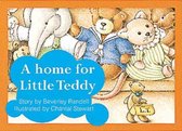 A home for Little Teddy