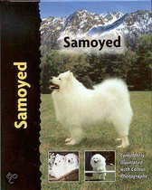 Samoyed