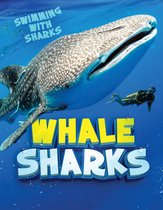 Swimming with Sharks - Whale Sharks