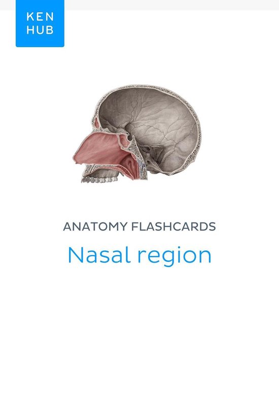 Anatomy flashcards Nasal region (ebook), Kenhub 9783962980788