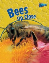 Bees Up Close