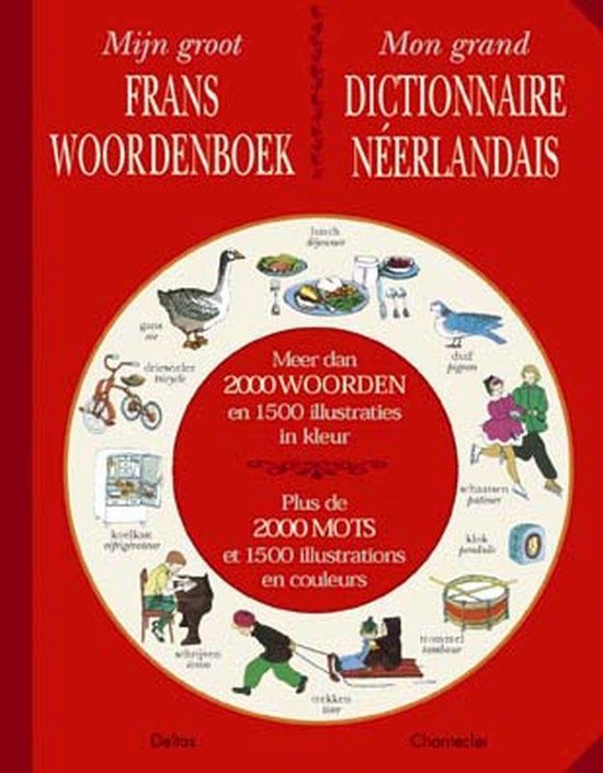 Foto: Mijn groot frans woordenboek