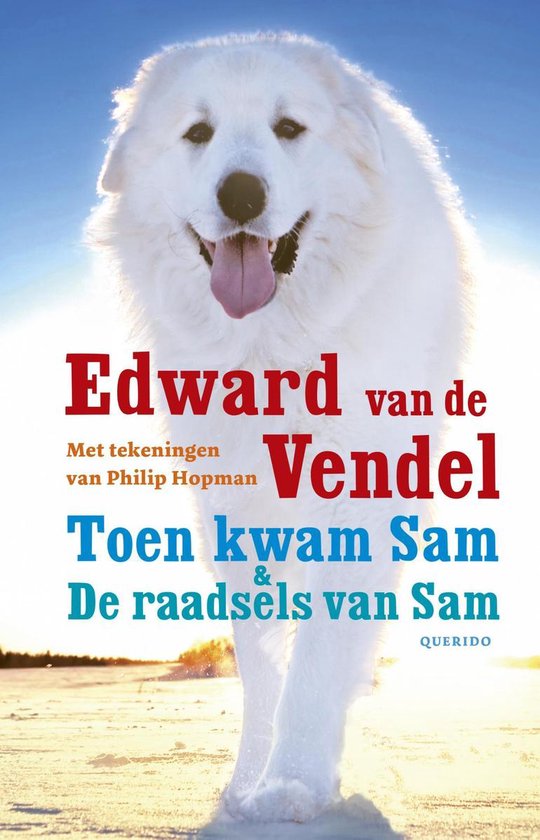 Toen kwam Sam & De raadsels van Sam - cover