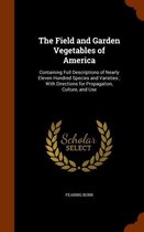 The Field and Garden Vegetables of America