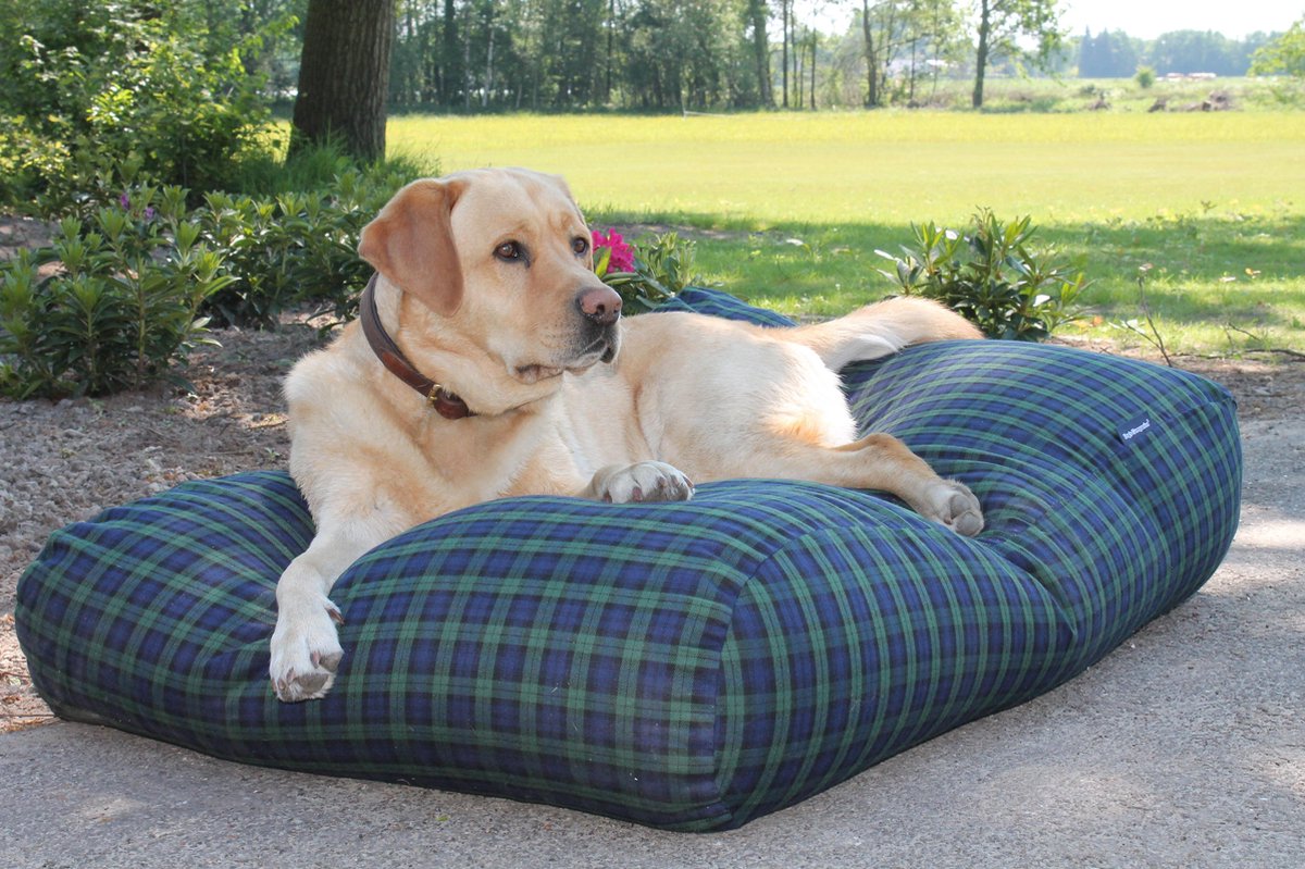 Bol.com Dog's Companion Hondenkussen / Hondenbed - XL - 140 x 95 cm - Black Watch aanbieding