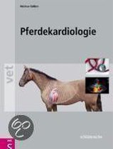 Pferdekardiologie