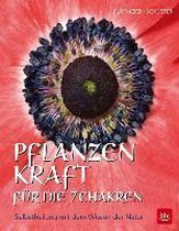 Pflanzenkraft für die 7 Chakren