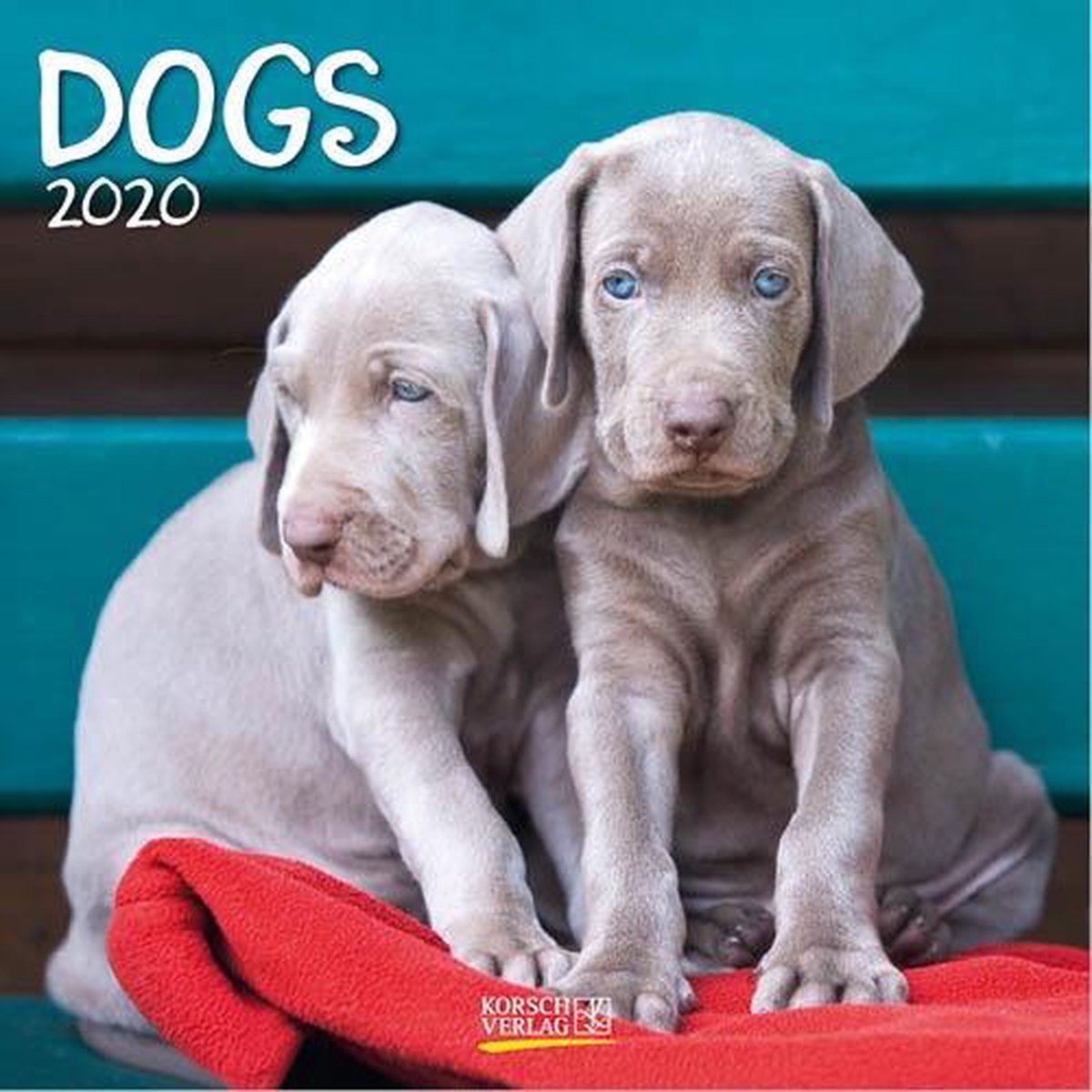 Honden Kalender 2020 (30 x 30)