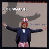 Look What I Did! The Joe Walsh Anthology