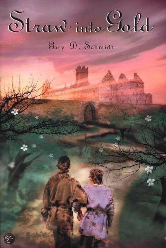 Straw Into Gold (ebook), Professor Gary D Schmidt 2370005097335