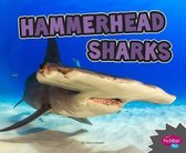 Hammerhead Sharks (All About Sharks)