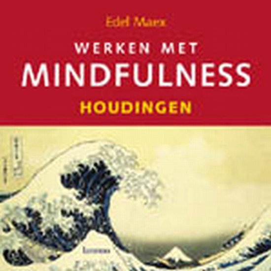 Werken met mindfulness - Houdingen (incl. cd)