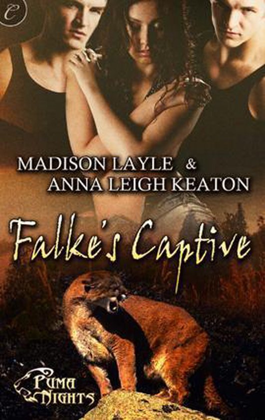 Falke's Captive - cover