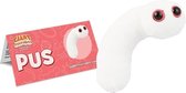 Pus