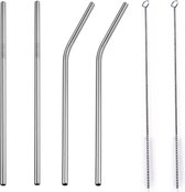 Herbruikbare stalen rietjes (4 stuks) – Incl.  2 Schoonmaakborstels - zilverkleur