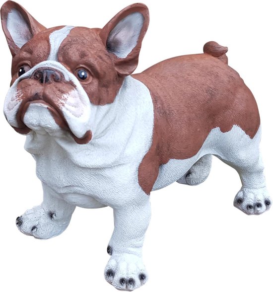 Franse Bulldog D. bruin wit 40 cm
