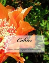 Cahier - Grand Format - 100 pages - Collection Nature