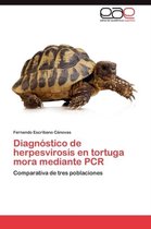 Diagnostico de Herpesvirosis En Tortuga Mora Mediante PCR