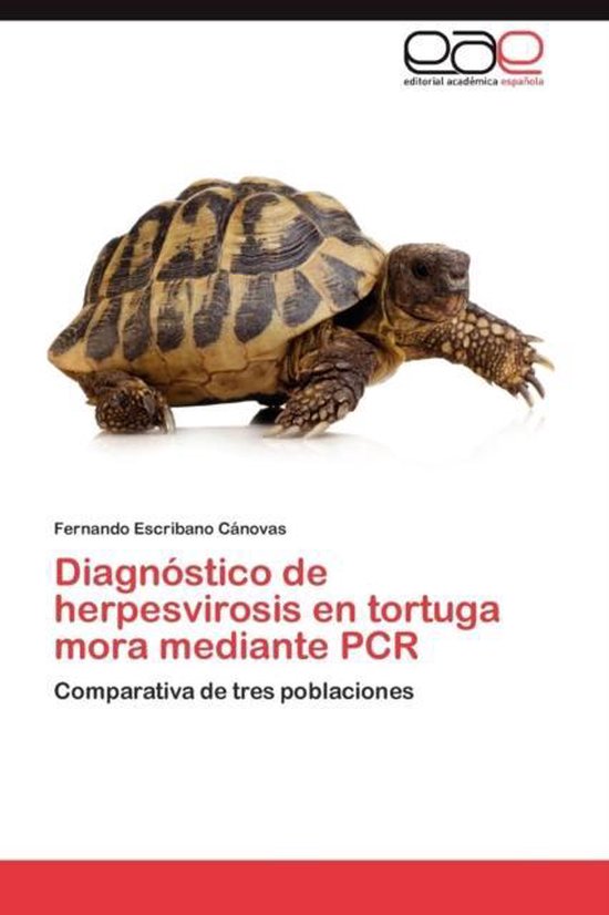 Diagnostico de Herpesvirosis En Tortuga Mora Mediante PCR - cover