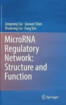 MicroRNA Regulatory Network Structure and Function