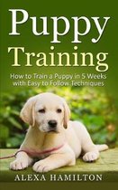 Puppy Training